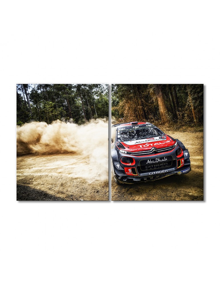 

Модульная картина Artel «Автомобиль Ситроен C3 WRC» 2 модуля 70x105 см