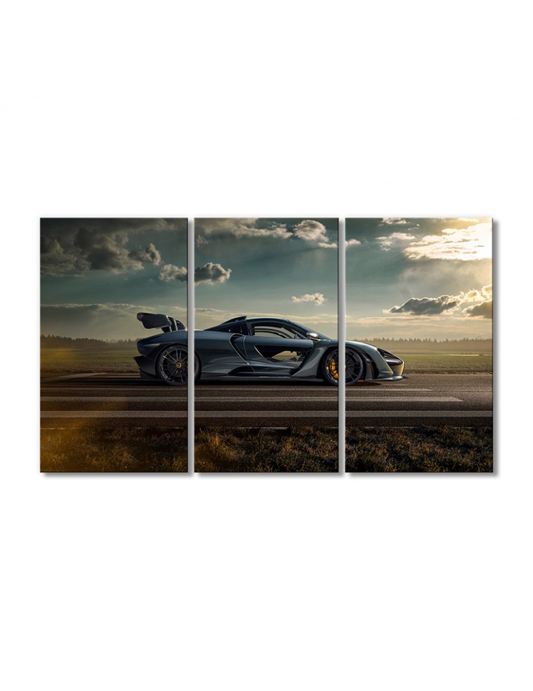 

Модульная картина Artel «Автомобиль МакЛарен Сенна» 3 модуля 120x180 см