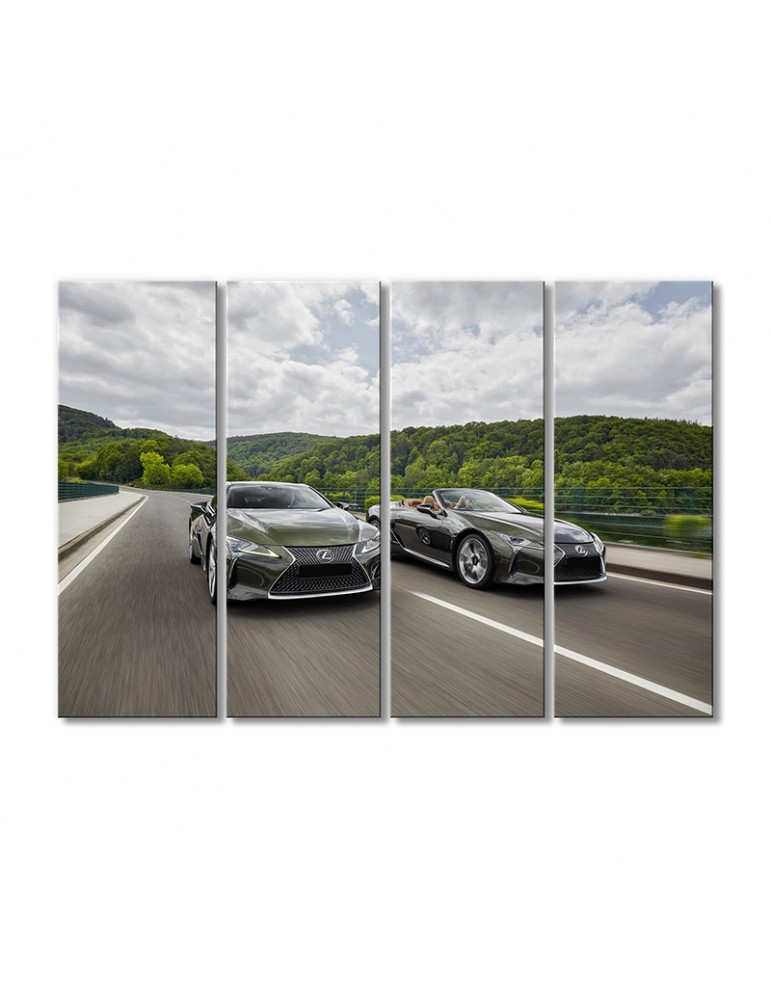 

Модульная картина Artel «Автомобили Лексус ЛЦ 500» 4 модуля 60x90 см
