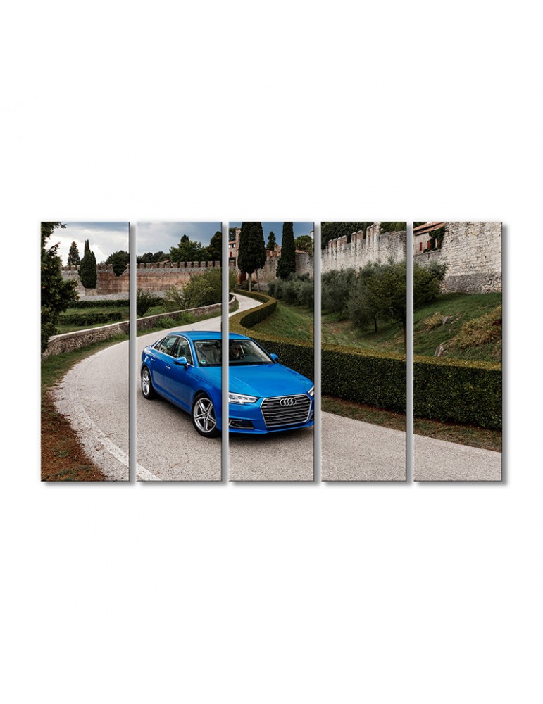 

Модульная картина Artel «Автомобиль Ауди С6 синяя» 5 модулей 70x105 см