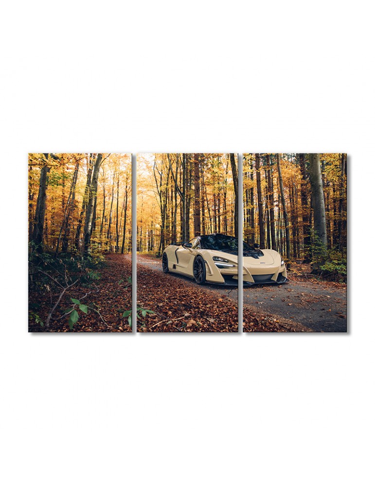 

Модульная картина Artel «Автомобили МакЛарен 720S в осеннем лесу» 3 модуля 70x105 см