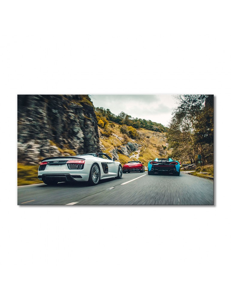 

Модульная картина Artel «Автомобили гоняют Ауди R8 V10» 1 модуль 80x120 см