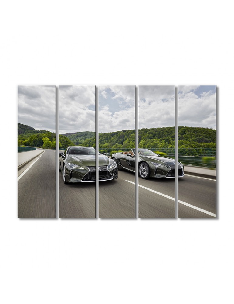 

Модульная картина Artel «Автомобили Лексус ЛЦ 500» 5 модулей 120x180 см