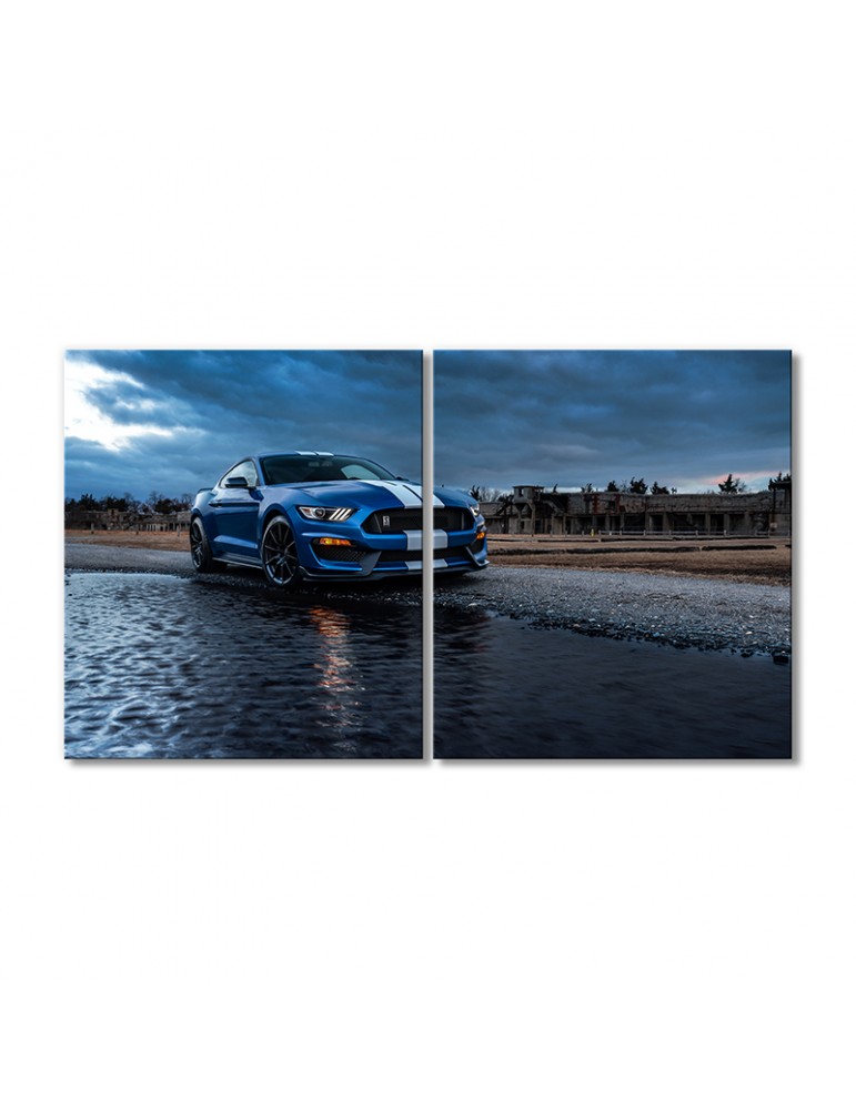 

Модульная картина Artel «Автомобиль Форд Мустанг Шелби GT500» 2 модуля 50x75 см