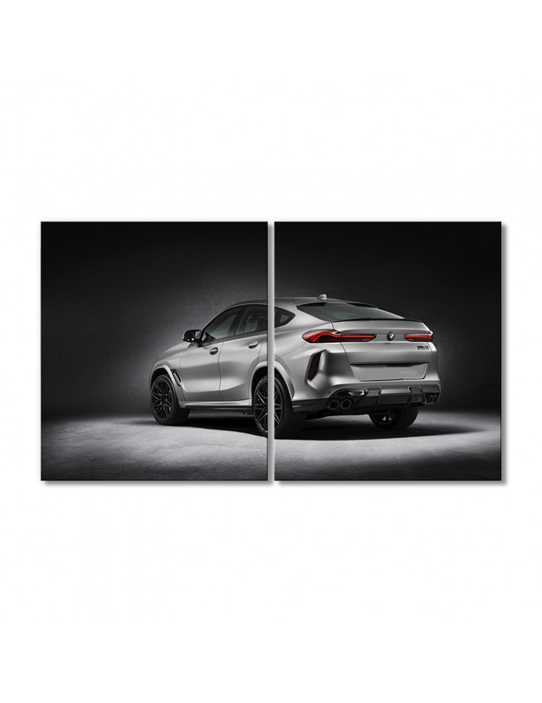 

Модульная картина Artel «Автомобиль БМВ X5 M X6 M» 2 модуля 90x135 см