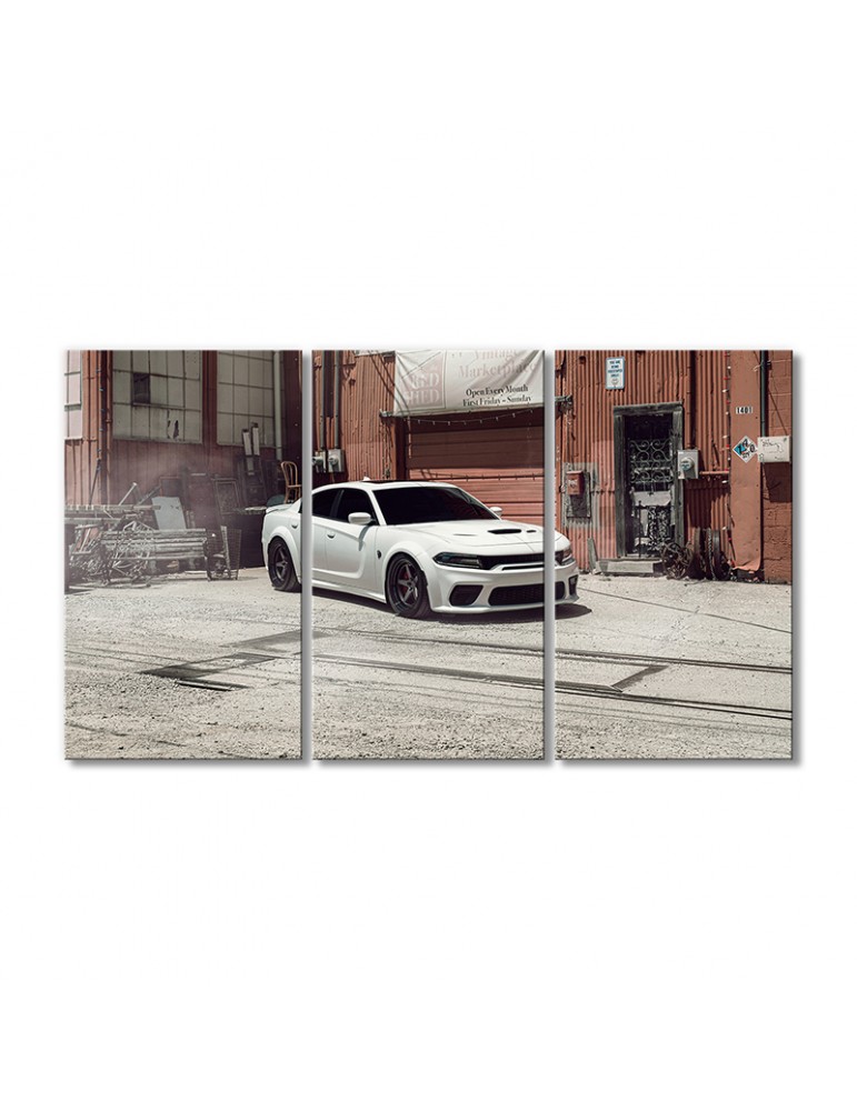 

Модульная картина Artel «Автомобиль Додж 8 белый» 3 модуля 120x180 см