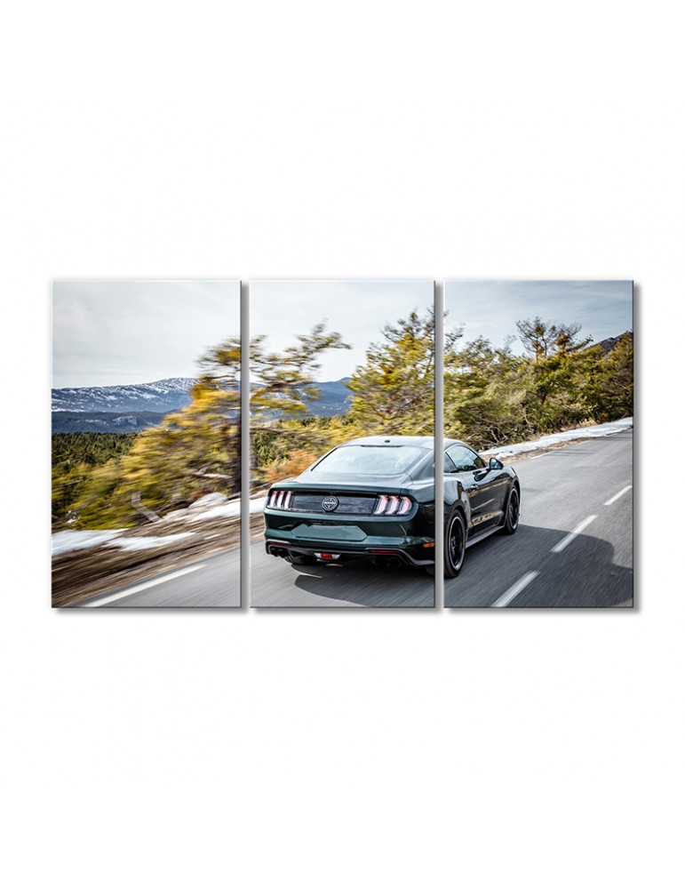

Модульная картина Artel «Автомобиль Мустанг Буллит европ» 3 модуля 60x90 см
