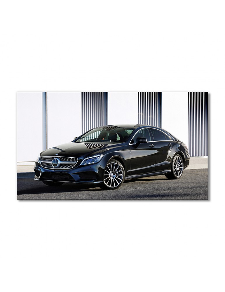 

Модульная картина Artel «Автомобиль Мерседес Бенц CLS 500» 1 модуль 80x120 см