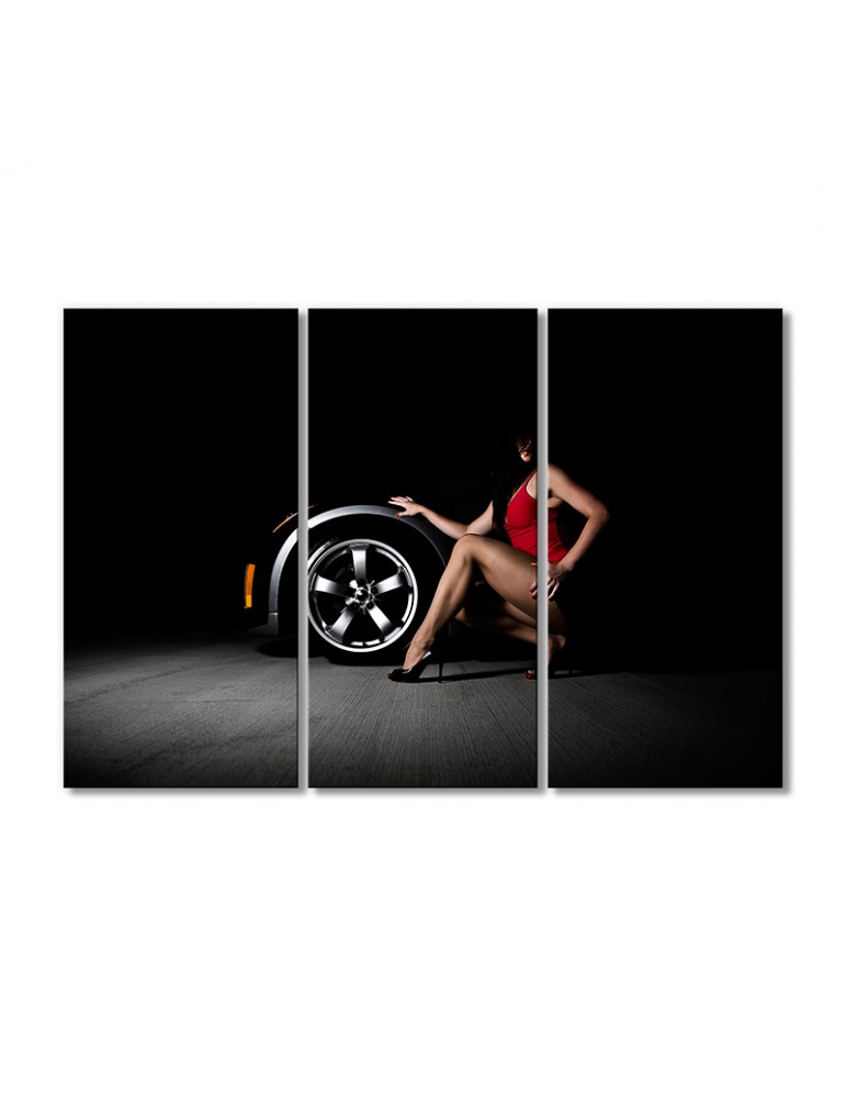 

Модульная картина Artel «Авто с девушкой» 3 модуля 80x120 см