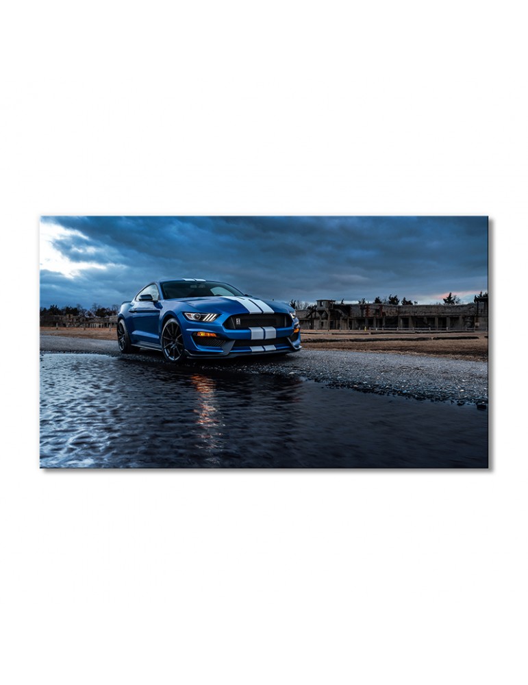 

Модульная картина Artel «Автомобиль Форд Мустанг Шелби GT500» 1 модуль 50x75 см