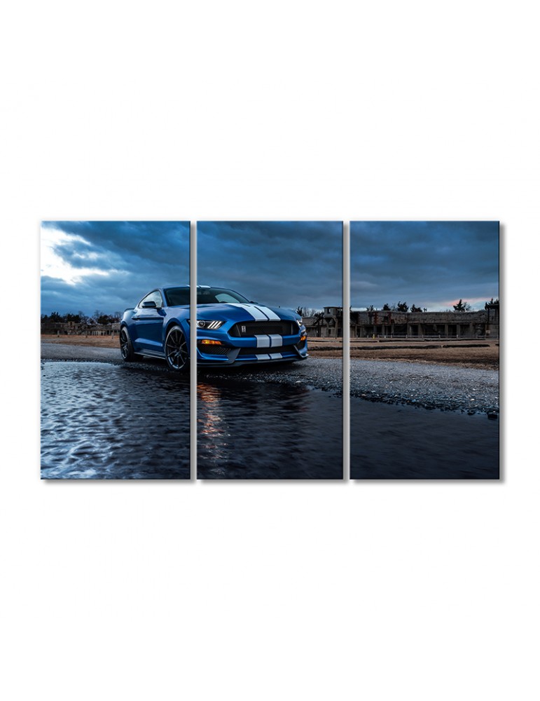 

Модульная картина Artel «Автомобиль Форд Мустанг Шелби GT500» 3 модуля 120x180 см