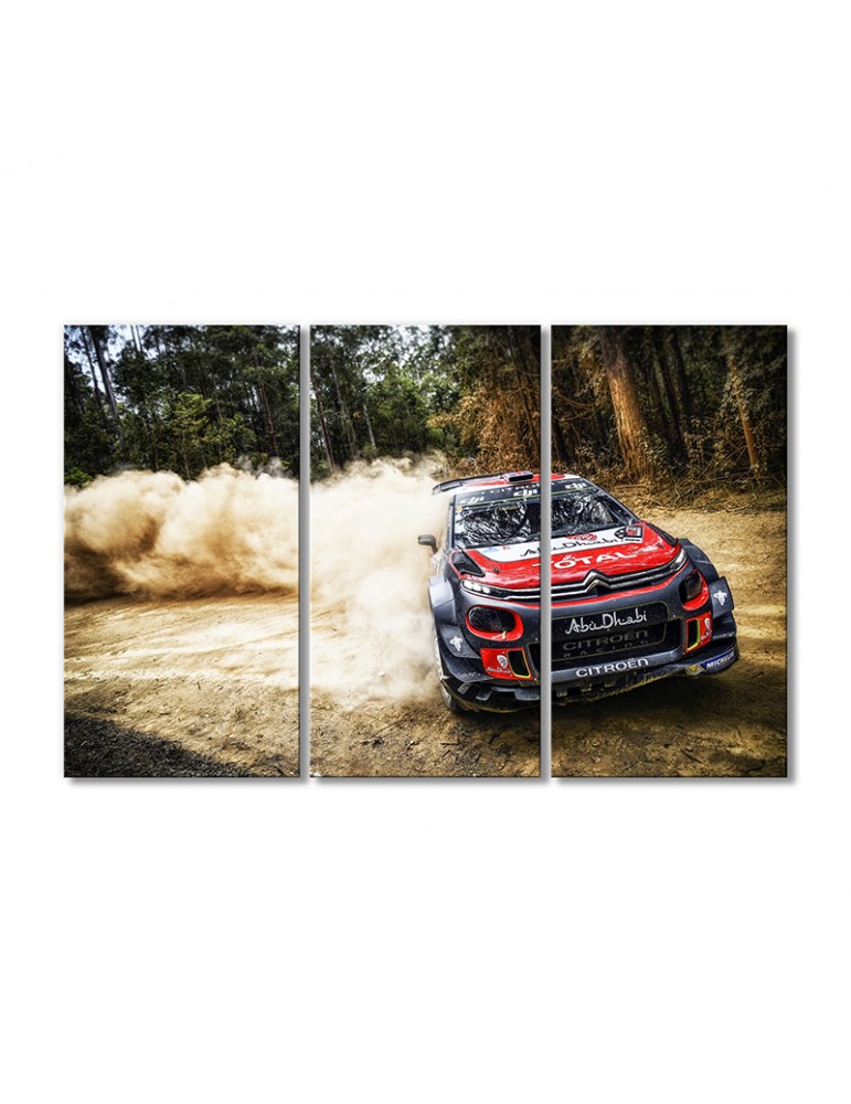 

Модульная картина Artel «Автомобиль Ситроен C3 WRC» 3 модуля 60x90 см