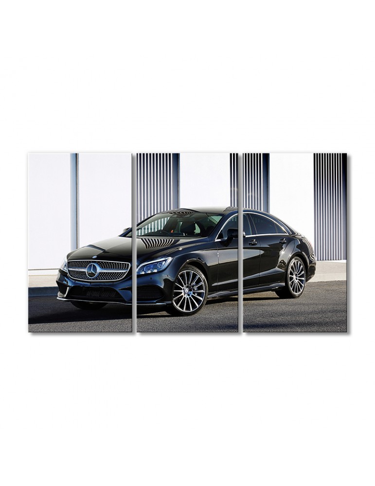 

Модульная картина Artel «Автомобиль Мерседес Бенц CLS 500» 3 модуля 120x180 см