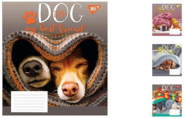 

Тетрадь А5 24 листа в клетку Dog friend (20 шт. в упак микс видов) YES (765528)