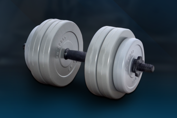

Гантель RN-Sport Gray на 13 кг c ABS покрытием дисков (rns_13 kg GRAY)