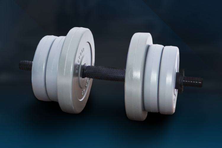 

Гантель RN-Sport Gray на 11 кг c ABS покрытием дисков (rns_11 kg GRAY)