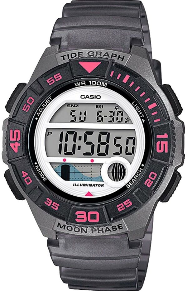 

Мужские часы CASIO LWS-1100H-8AVEF