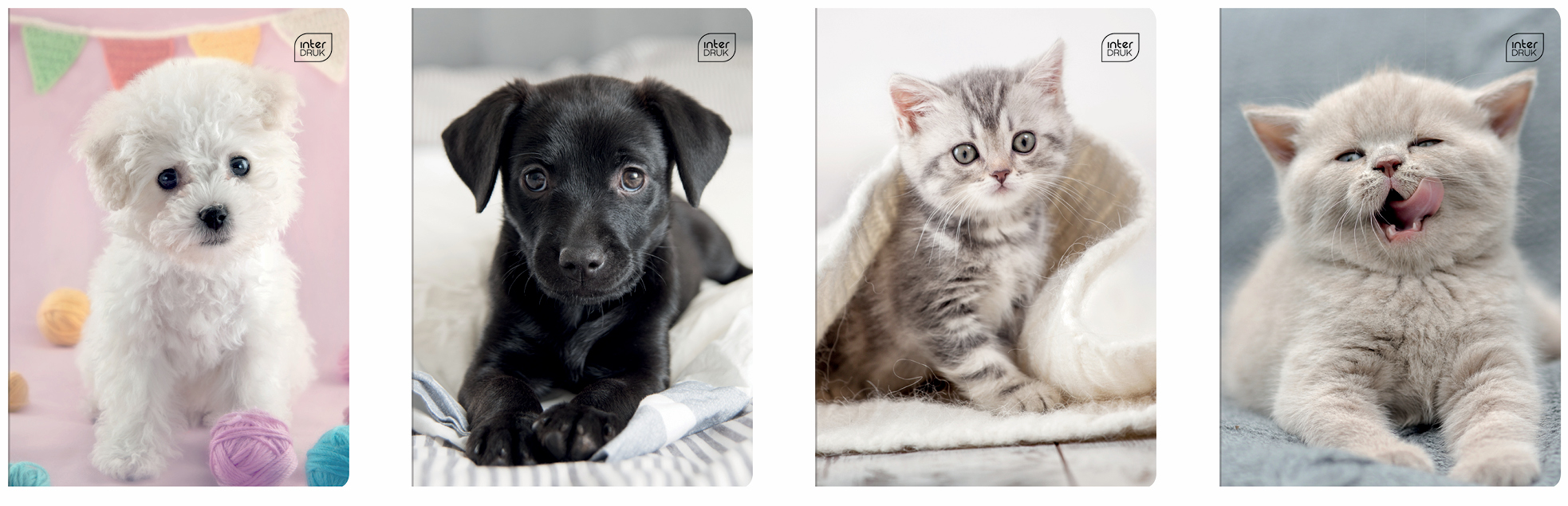 

Набор тетрадей ученических 20 шт Interdruk Premium I Love Pets А5+ в клетку 12 листов (4 дизайна) (298553)