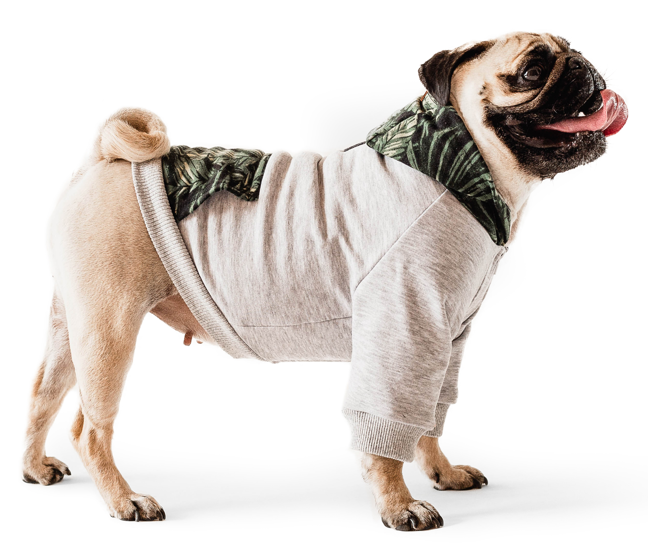 

Кофта-худи для собак Noble Pet Franklin S Grey/Palm (F4114/S)