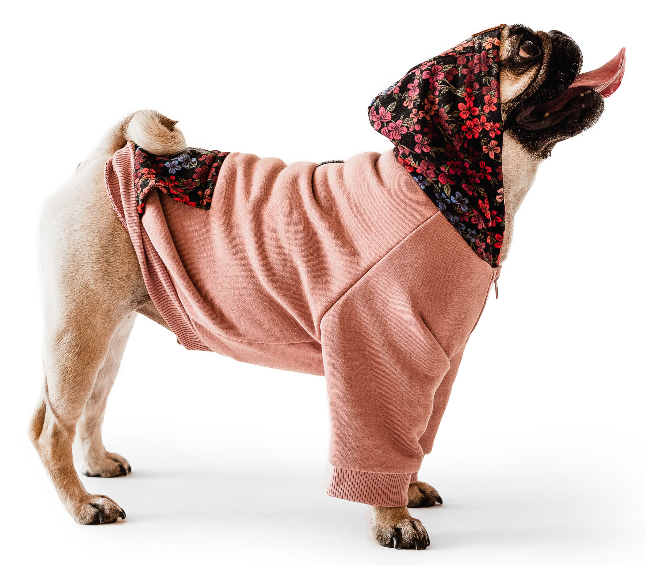 

Кофта-худи для собак Noble Pet Franklin XL Powdery/Flowers (F4115/XL)