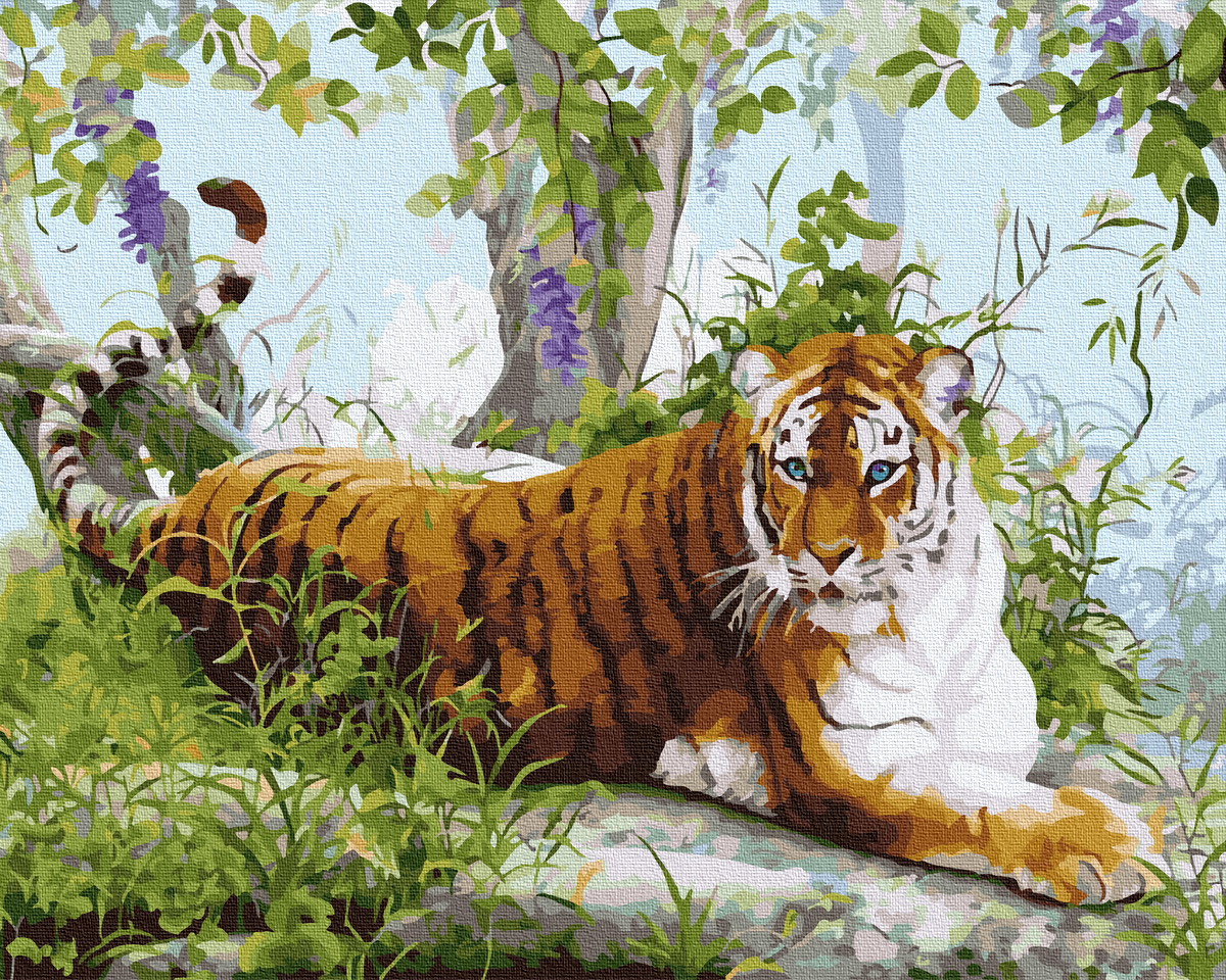 

Картина по номерам без коробки Paintboy Амурский тигр 40х50см (GX 36523)