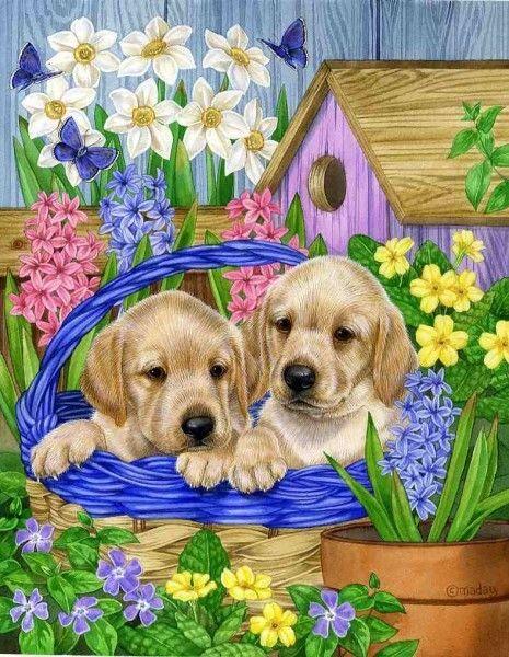 

Картина по номерам без коробки Paintboy Собачки в садовой корзине 40х50см (GX 22280)