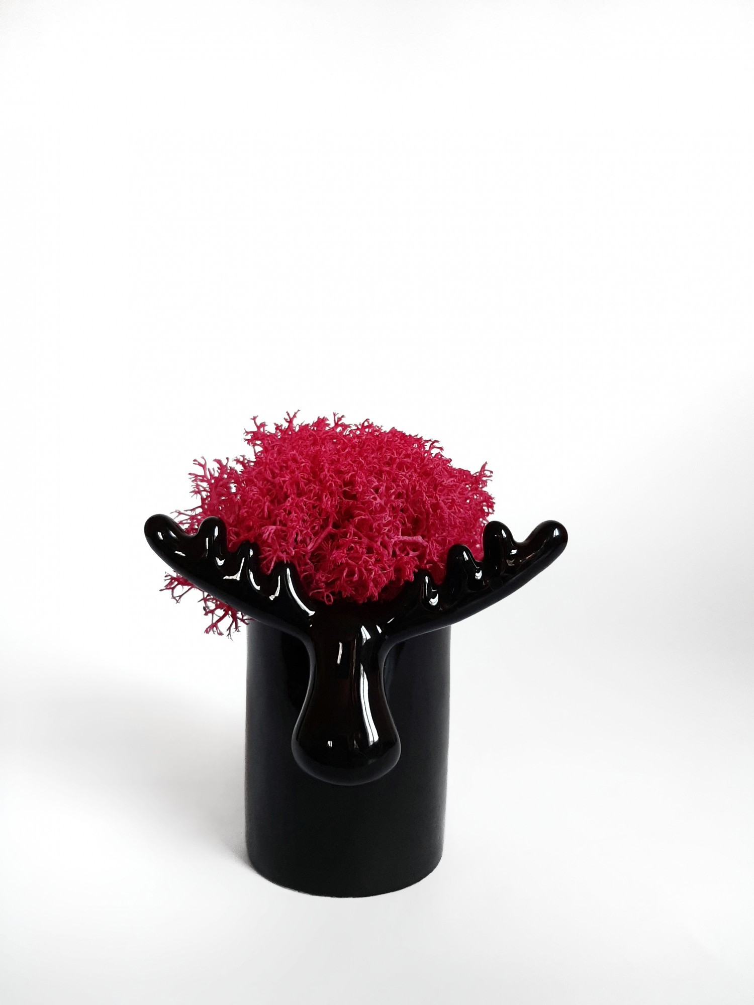 

Стабилизированный мох вазон Reindeer Moss b/222/01/850/10 черный розовый