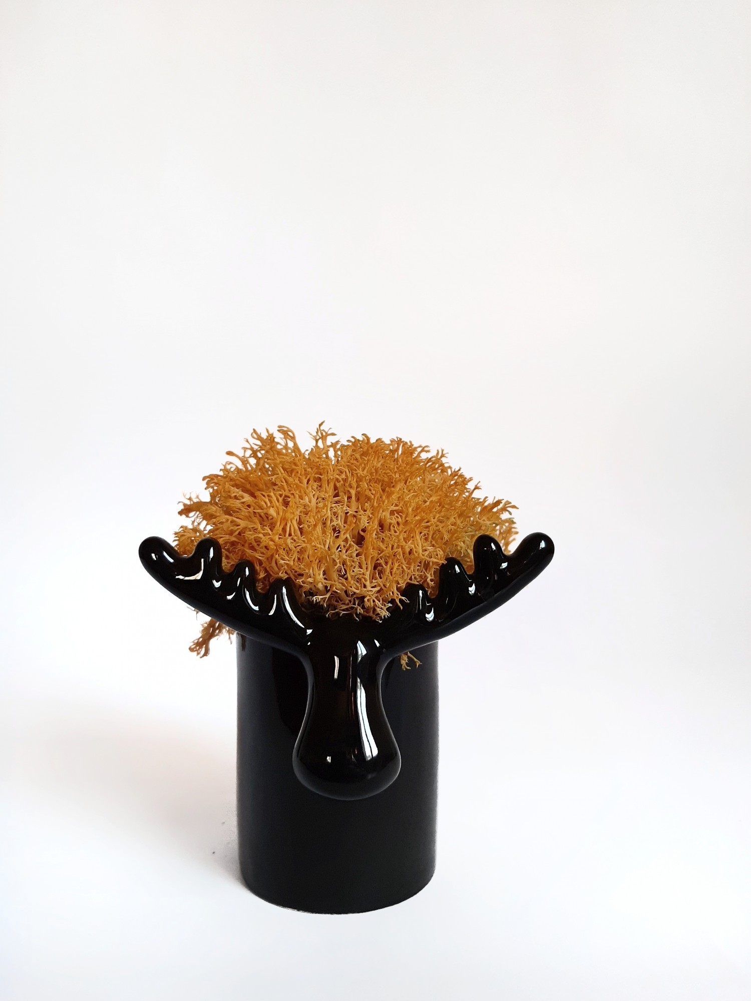 

Стабилизированный мох вазон Reindeer Moss b/222/01/850/10 черный желтый