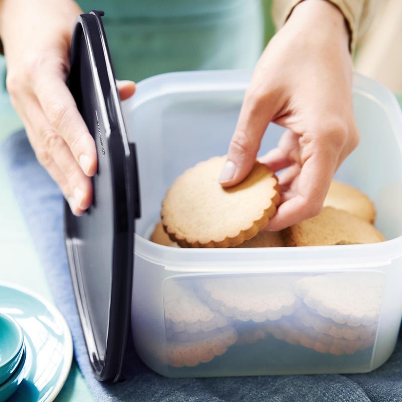 

Контейнер Компакт 2.6 л Tupperware