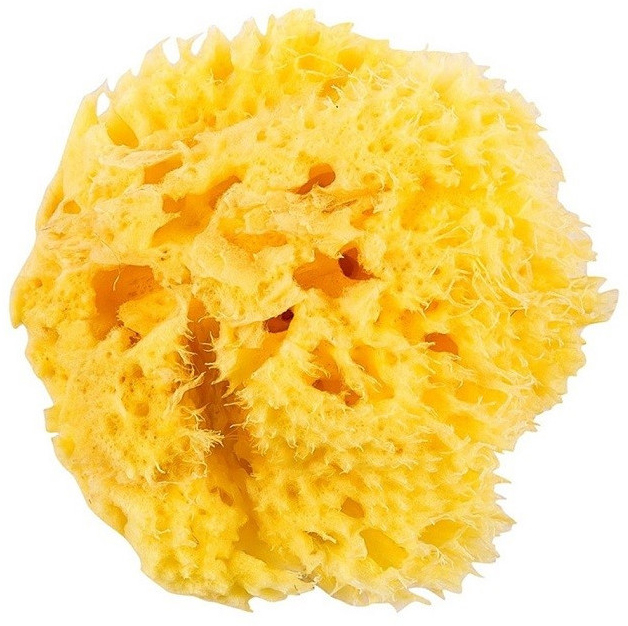 

Натуральная морская губка Ok Baby Honeycomb Sea Sponge размер 12 (38471200)