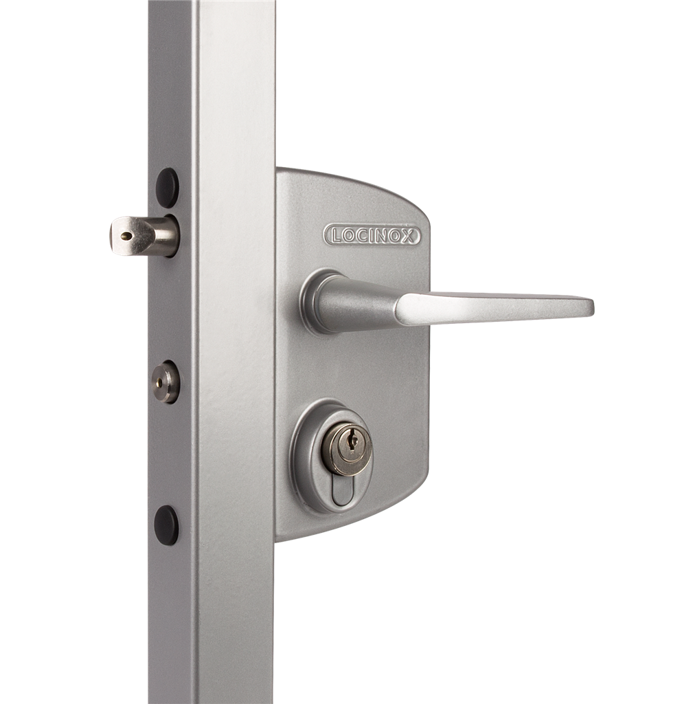 

Накладной промышленный замок под личинку Швейцарского типа Locinox RAL 7016 LAKQU3-7016