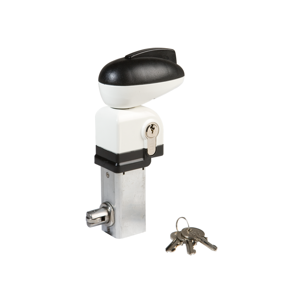 

Замок для бассейнов с защитой "от детей" Locinox RAL 6009 TWIST40-6009