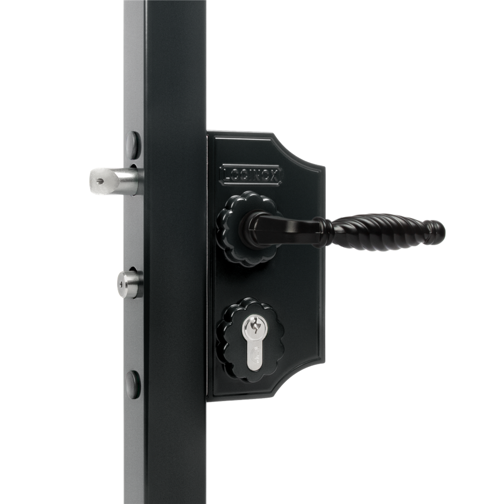 

Малый накладной декоративный замок Locinox RAL 7016 LAKYF2-7016