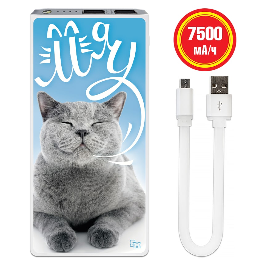 

FM Подарочное зарядное устройство Хитрый кот 7500 mAh (E189-18)