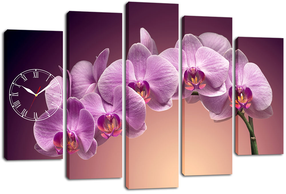 

Модульная картина с часами DK Place 80x120 см (m5c-chf8)