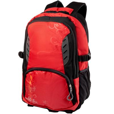 

Рюкзак спортивный Valiria Fashion DETAT2109-1