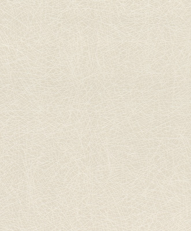 

Обои Rasch Rock´n Rolle 541342