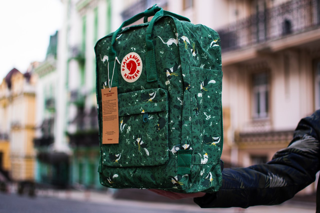 

Рюкзак Fjallraven Kanken Art