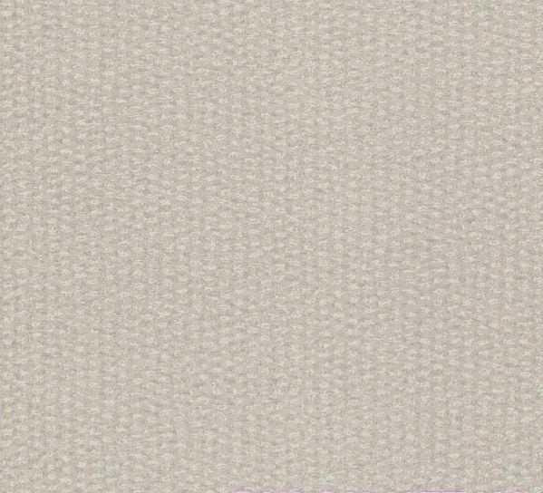 

Обои Rasch Abaca 229324