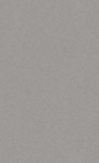

Обои BN International Texture Stories 49350