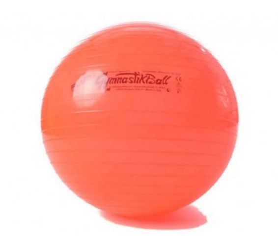 

Мяч 65 см Gymnastik Ball Standard FLUO красный люм Ledragomma L 64