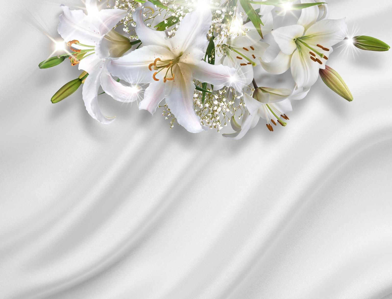 

Фотообои Walldeco Белоснежные лилии №33294 Бриз