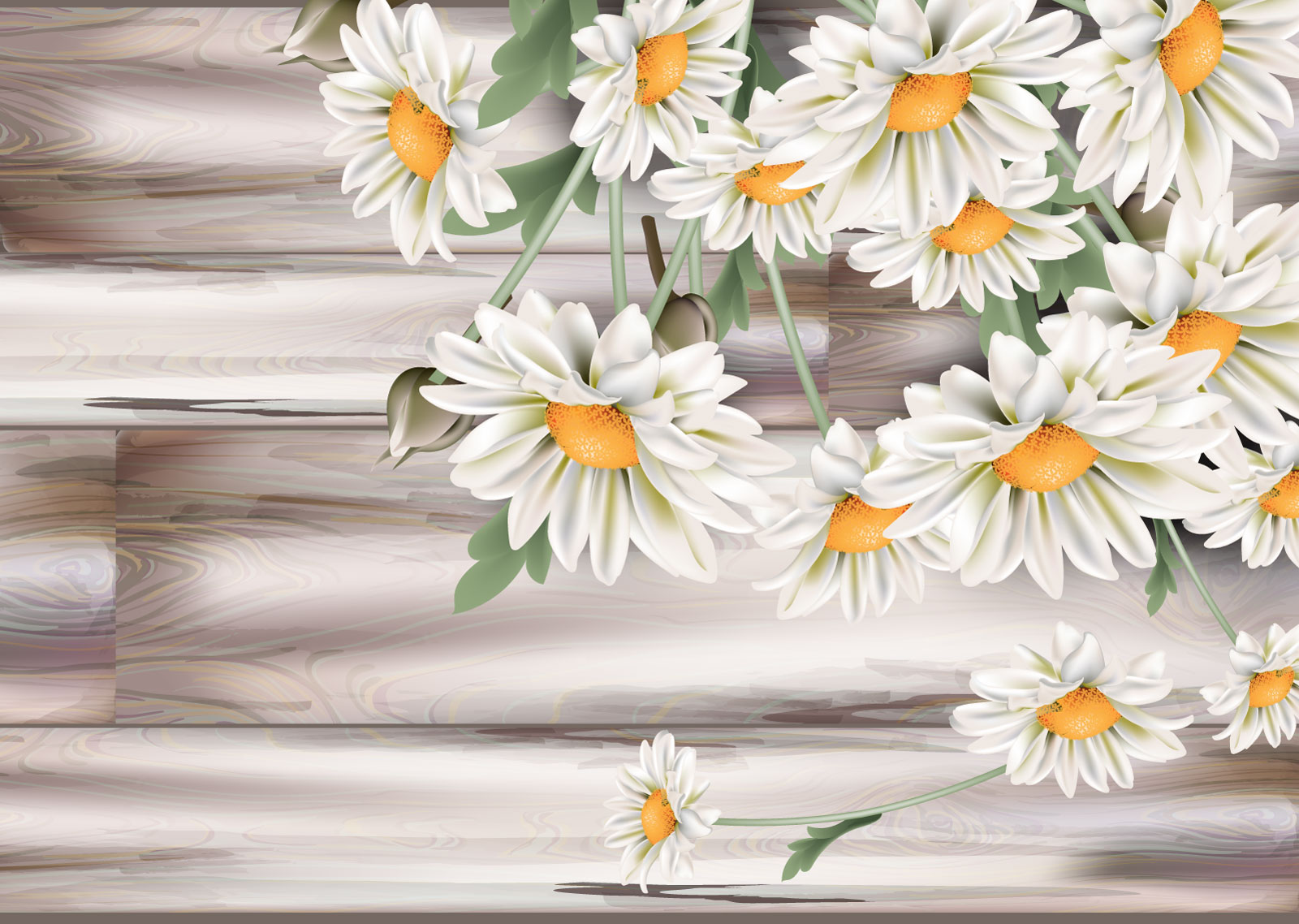 

Фотообои Walldeco Ромашки №39523 Деко
