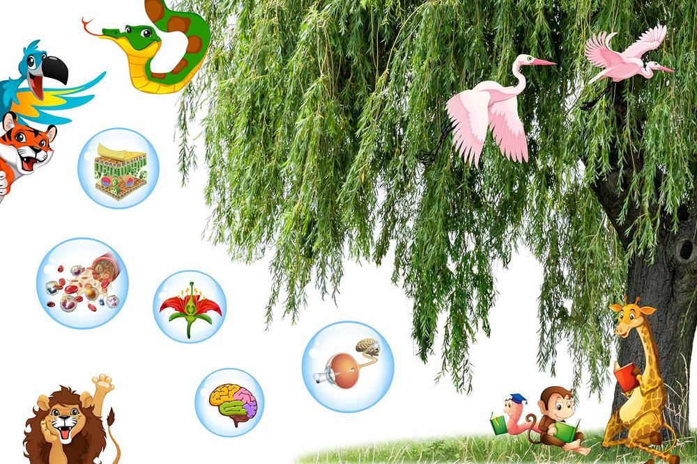 

Фотообои Walldeco Изучаем животных №33476 Базальт