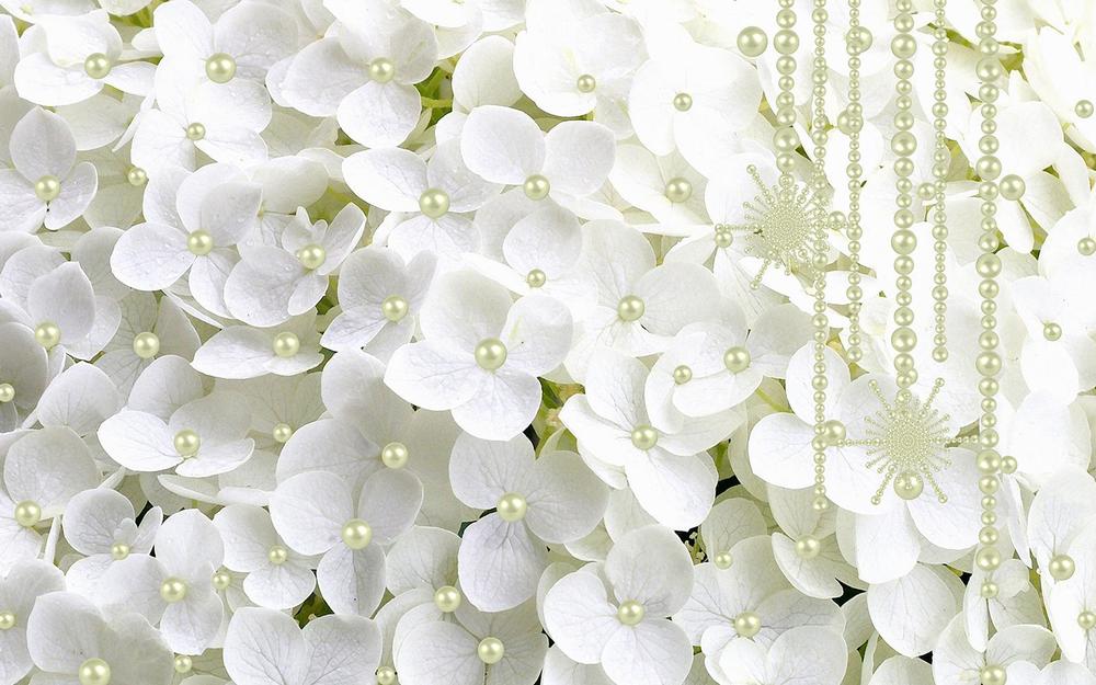 

Фотообои Walldeco Белые цветы с жемчугом №34160 Базальт