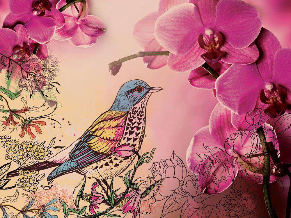 

Фотообои Walldeco Птица в цветах №23575 Бриз