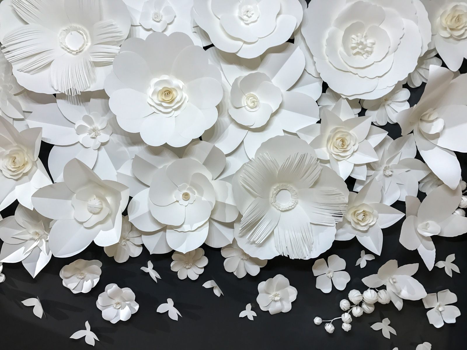 

Фотообои Walldeco Белое на черном №30750 Гладь