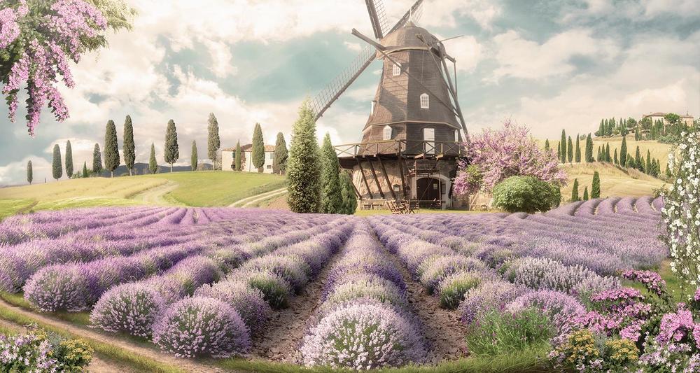 

Фотообои Walldeco Лавандовое поле №33458 Мелкий песок с блестками