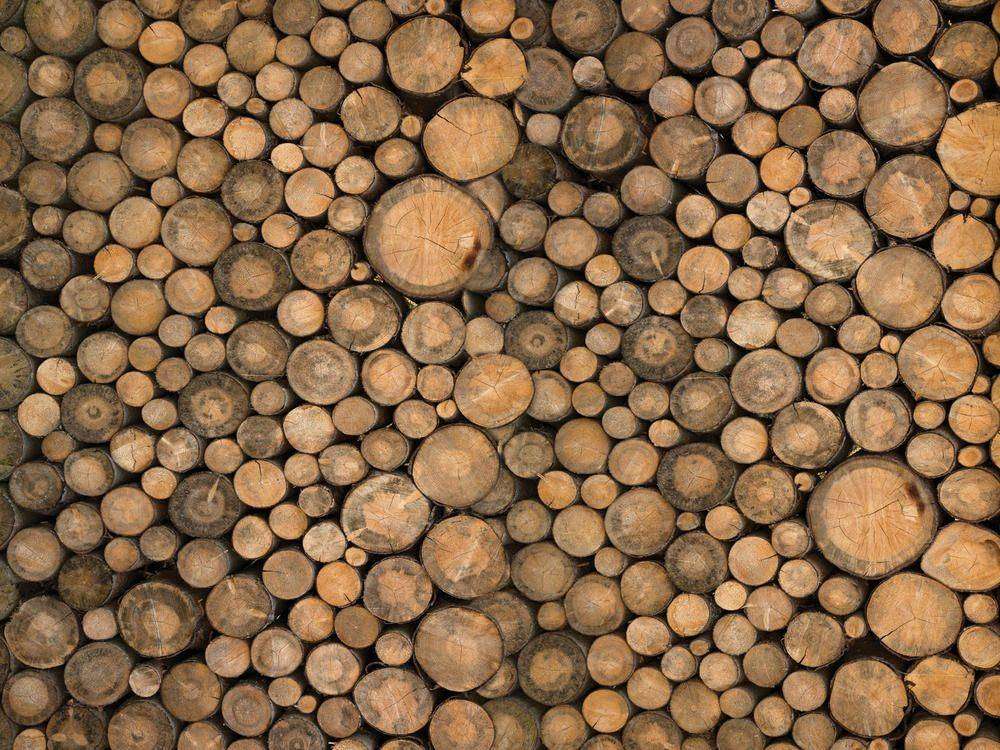 

Фотообои Walldeco Бревна №23565 Мелкий песок с блестками