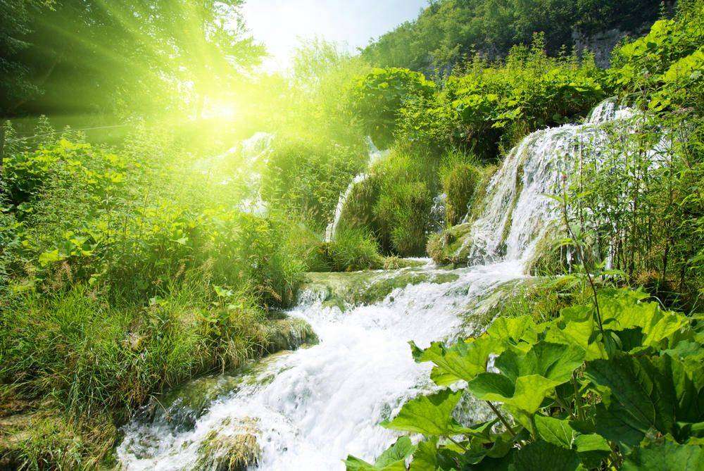 

Фотообои Walldeco Водопад в зеленом лесу №0345 Базальт
